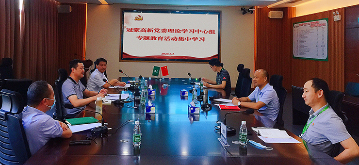 冠豪高新党委理论学习中心组举行专题教育活动集中学习