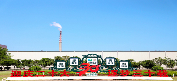 冠豪高新前三季度交出靓眼成绩单