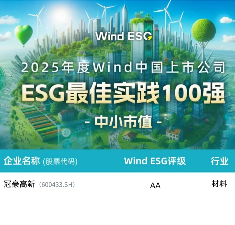 CAPITAL INSIGHT | 冠豪高新首登 Wind ESG 中小市值百强+入选上证580，双荣誉印证高质量发展实力