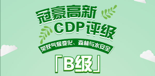 践行绿色责任，引领永续未来！冠豪高新蝉联CDP“B”级评级，稳居全球可持续发展领先行列